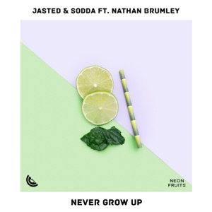 Never Grow Up - Single