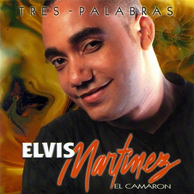 Song - Maestra - Elvis Martinez El Camarón