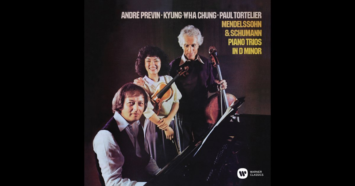 Mendelssohn & Schumann: Piano Trios in D Minor - ポール