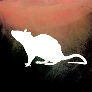 Excesses Paradise - Single