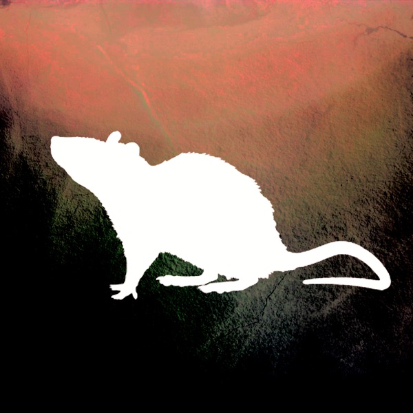 Excesses Paradise - Single