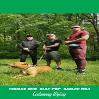 Codzienny Wyścig (feat. Tobiasz GCB & Olaf PRP) - Single - SadLee