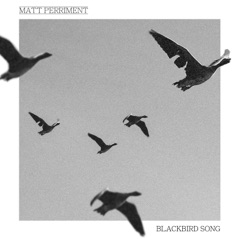 Blackbird Song - Single