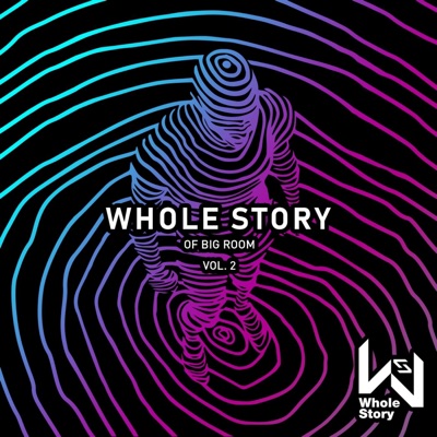 Whole Story of Big Room Vol. 2