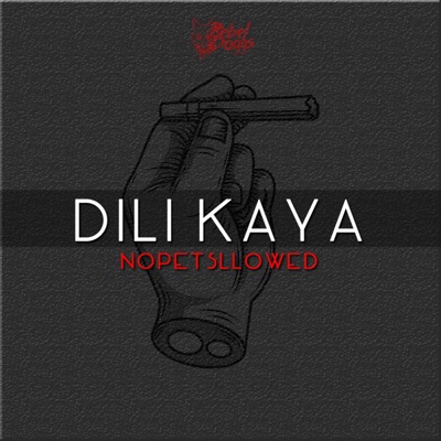 Dili Kaya - Single