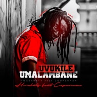 Uvukile Umalambane (feat. Cooperman) - Single - Hwabaraty