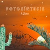 Fotosíntesis - Single