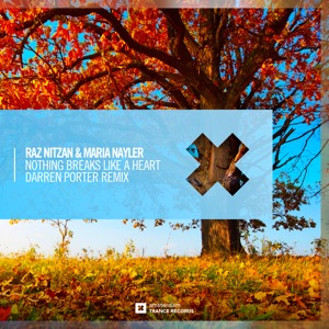 Nothing Breaks Like a Heart (Darren Porter Remix) - Single