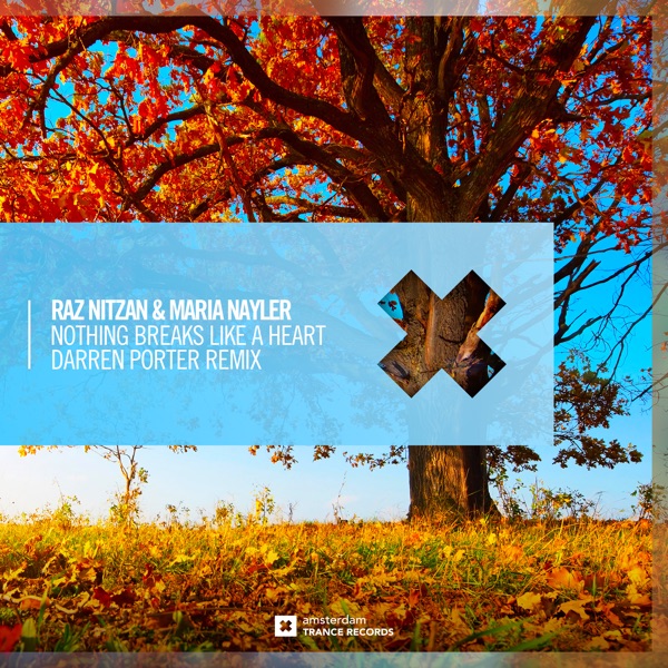 Nothing Breaks Like a Heart (Darren Porter Remix) - Single
