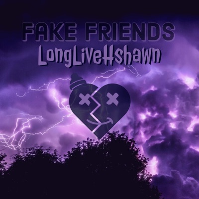 Fake Friends - Single