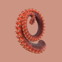 Squid - Single - Joe Nora & Knives