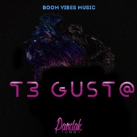 Te Gusta - Single - Tommy Pandak