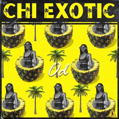 Chi-Exotic - Single