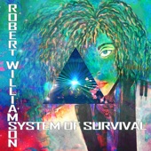 System of Survival (Moto Blanco Radio Edit) artwork