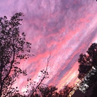 Crazy Love EP - Omaure