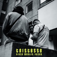 Tristesse - Single - Niksn, Merlin & Yeshe