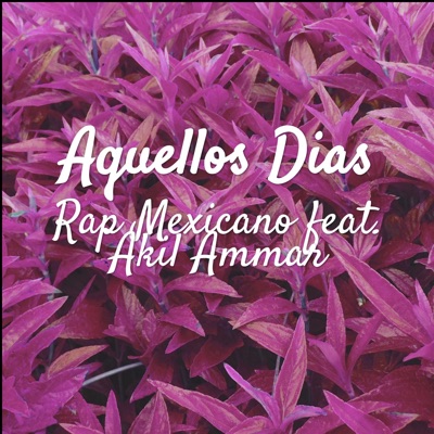 Aquellos Días (feat. Akil Ammar) - Single