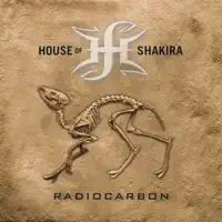 Falling Down — House of Shakira