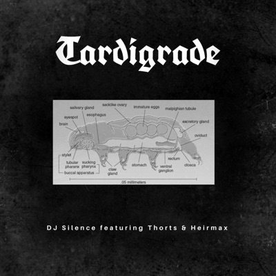 Tardigrade (feat. Thorts & Heirmax) - Single