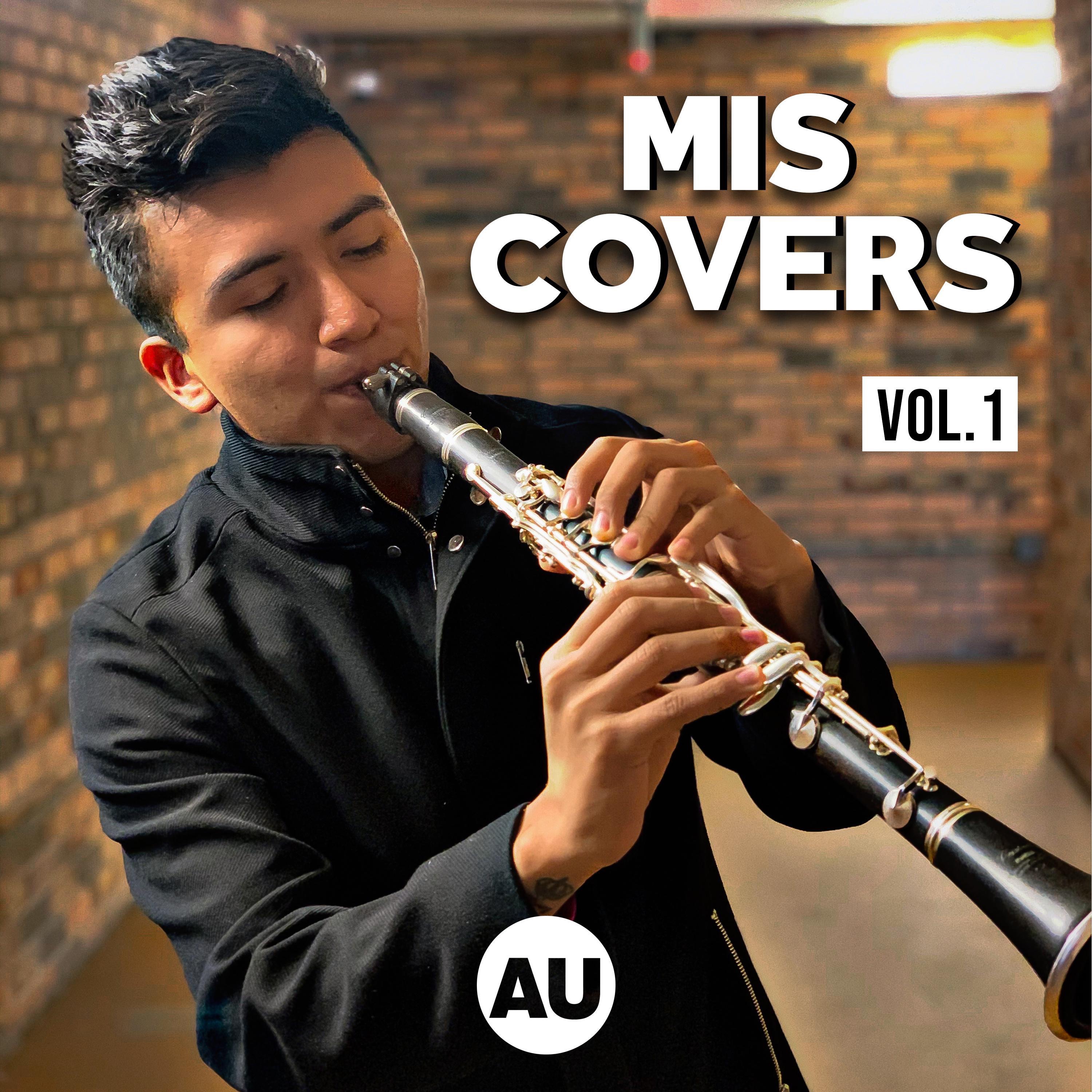 Mis Covers, Vol. 1