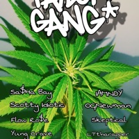 Gunna In the Bay (feat. YoungGunn) - Single - Sasha Bay