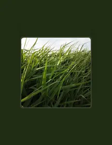 Listen to Chyoushya, watch music videos, read bio, see tour dates & more!