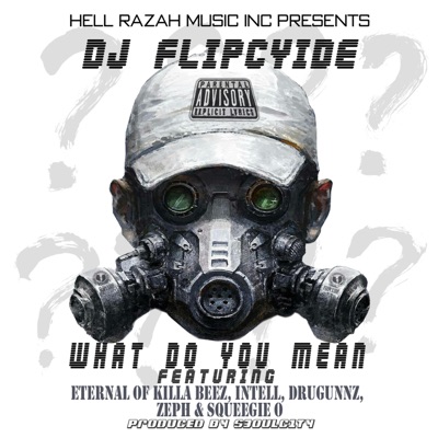 What Do You Mean (feat. iNTeLL, Drugunnz, Zeph, Squeegie O & Eternal of Killa Beez) - Single