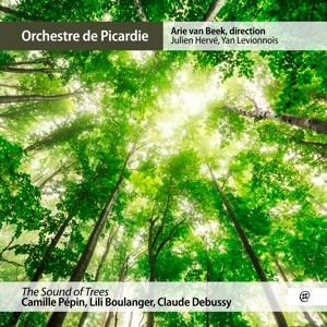 The Sound of Trees