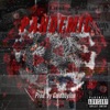 D.T.P. - Mvp