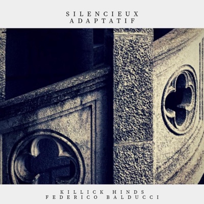 Silencieux Adaptatif - EP