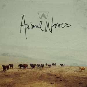 Animal Waves