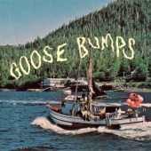 Goose Bumps artwork