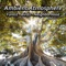 Backyard With Street, Birds and Dogs - John Nature lyrics