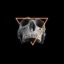 Voices - Single