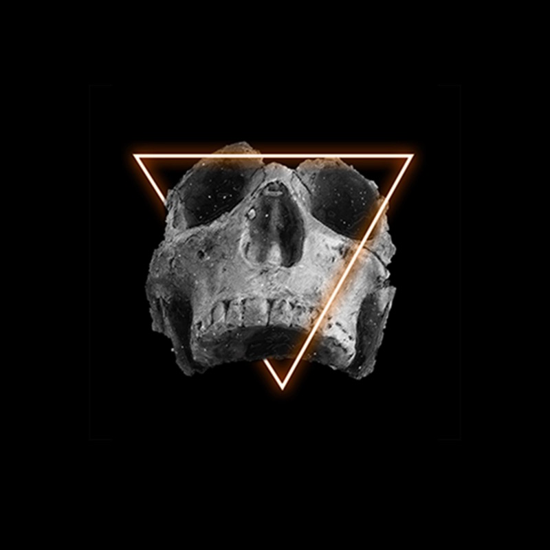 Voices - Single
