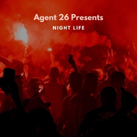 Night Life Agent 26