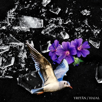 YRITÄN/HAJAL - Single