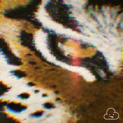 Tiger Eye EP