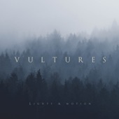 Vultures artwork