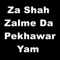 Za Shah Zalme da Pekhawar Yam - Single - Shabnam Naseem & Kamran