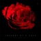 New Me - Allison Rose lyrics
