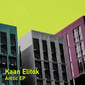Arctic - Single