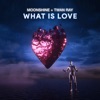 What is Love (feat. Twan Ray) - Single