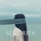Señorita - Derkommissar lyrics