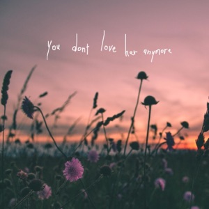 You Don't Love Her Anymore - Single
