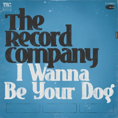 I Wanna Be Your Dog - The Record Company | Shazam