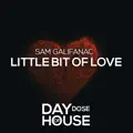 LITTLE BIT OF LOVE