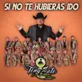 Si No Te Hubieras Ido