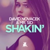 Shakin' - Single