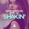 Shakin' artwork